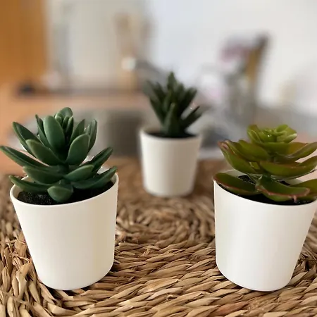 House Tuvesa Premium 1 Wifi Gratis *