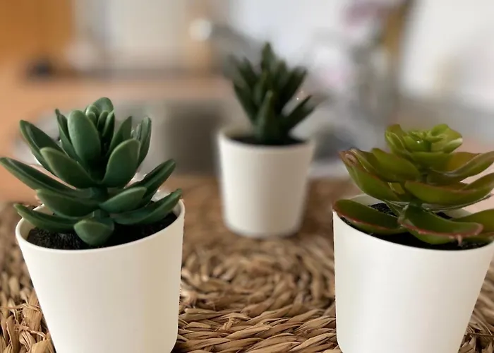 House Tuvesa Premium 1 Dormitorio Wifi Y Parking Gratis *